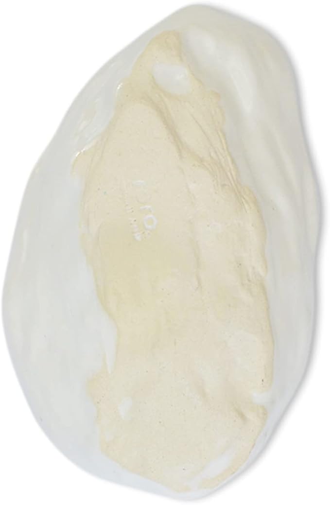 RoRo Handmade Ceramic Stoneware Oyster-Inspired Glossy White Canape Plates, 5.5 Inch | Perfect for Sushi, Tapas, Bruschetta & Appetizers Set of 2