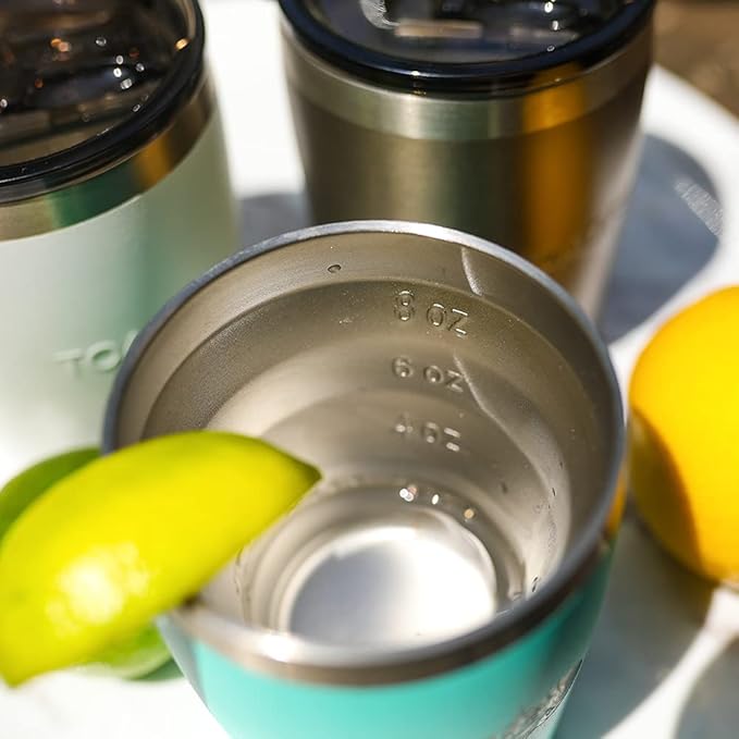 Toadfish Non-tipping 10oz Double Wall Insulated Stainless Steel Rocks Tumbler 2-Pack Gift Set w/Ice Ball Tray & Easy Slide Lid - Graphite