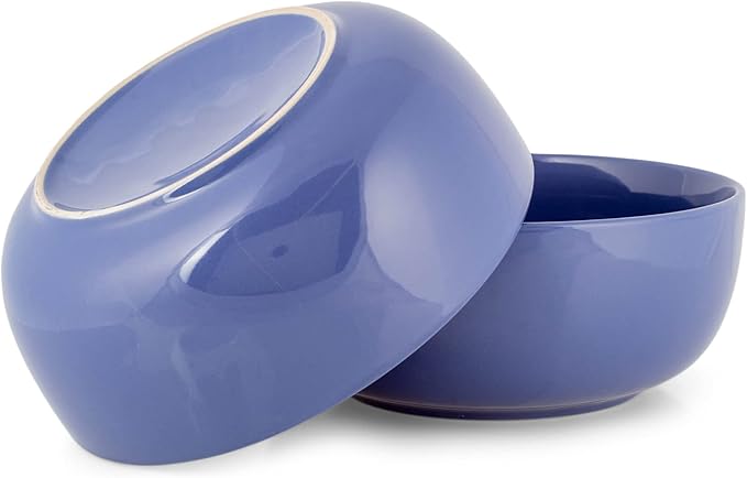 Elanze Designs Bistro Glossy Ceramic 8.5 inch Large Serving Bowls Set of 2 - Perfect for Multiple Everyday Uses: Pasta, Salad, Ramen, Soup, Popcorn, Noodles, Cereal and Mixing Bowls, Violet Purple