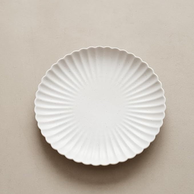 WENSHUO Daisy Plates Set of 6 (Nacre White, 10.5 Inch)