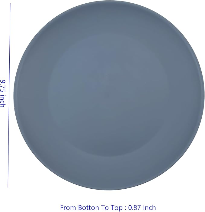 Plastic Dinner Plates Reusable, Unbreakable Salad Plates 10 inch set of 12, BPA Free Dishwasher & Microwave Safe Party Plate for Kids Kitchen Camper Outdoor (Grey Stone)