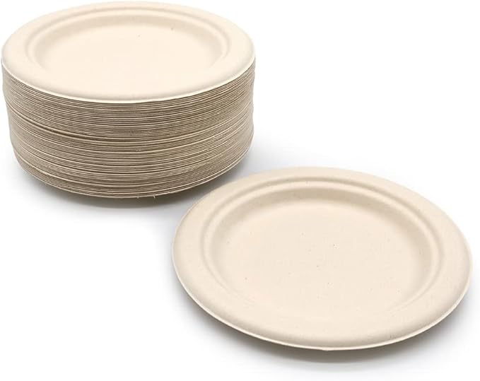 10 Inches Disposable Plate, 10" Biodegradable Paper Plates, Pack of 120
