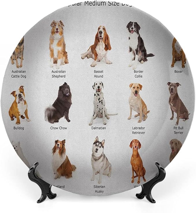 Ceramic Display Plate, Dog Ceramic Hanging Decorative Plate, AGroup of Different Puppy Breeds Family Type Species, 7 Inch, Living Room Kitchen Decoration Household, Multi