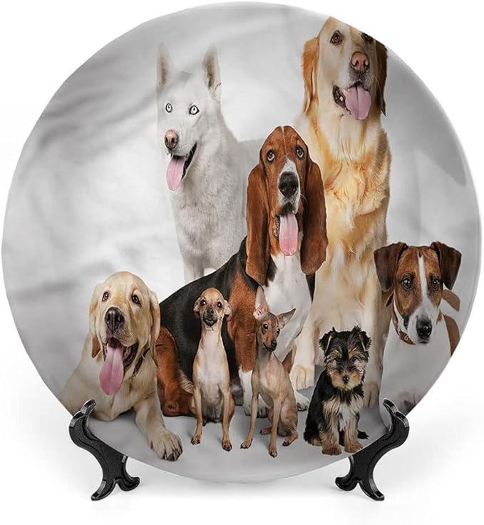 Decorative Plates, Dog Lover Print Ornament, House Pet Photo Shoot, 6 Inch, Kitchen Wall Decor, Multicolor