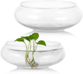 2 PCS Round Glass Vase Bowl, 6"/ 8" Wide Mouth Round Glass Bowls, Succulent Planters, Fish Tank, Bubble Vases, Floral Decor Centerpieces, Flower Pots for Home Decoration (2PCS)