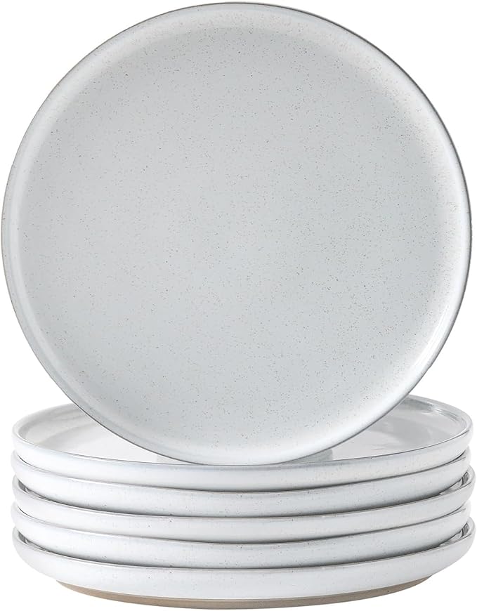 Ceramic Dinner Plates Set of 6,Stoneware 10 Inch,Microwave,Dishwasher and Oven Safe,Porcelain Dessert Plates for Pasta,Salad and Steak,Christmas Gift,Dish for Kitchen,Scratch Resistant,White