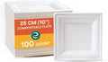 ECO SOUL 100% Compostable Square Paper Plates 10 Inch [100-Pack] Biodegradable Heavy Duty Eco-Friendly Disposable Plates for Dinner, Parties, Wedding & Event(White)