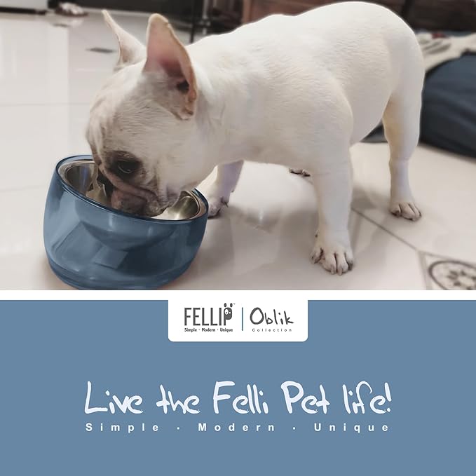 Felli Pet Oblik Acrylic Raised Dog Food Water Bowl Stainless Steel Slanted Oval Dish for Short Leg Puppy & Small Medium Pet, Elevated Tilted Metal Feeder (Shadow, 1.5 Cups Oval Dish)