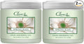 Clear Air 15oz Gel Odor Eliminator - Absorb & Remove Strong Odors from Pets, in Bathrooms, Basements, Garage, Cars, RVs & Boats - Eliminate Tough Odors with Essential Oils (Spring Rain, 2-Pack)