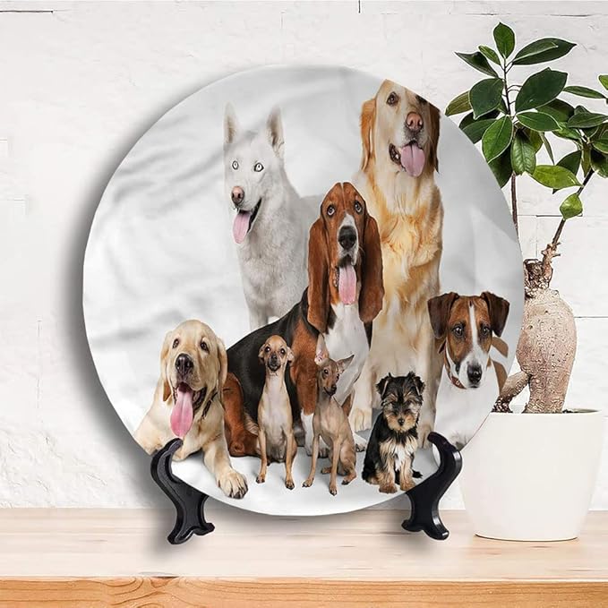 Decorative Plates, Dog Lover Print Ornament, House Pet Photo Shoot, 10 Inch, 1 Plate with 1 Display Stand, Multicolor