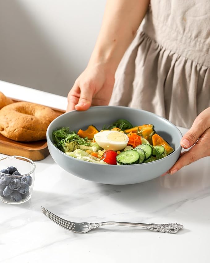 Pasta Bowls Set of 4, Stoneware 34 oz Salad Bowls, Ceramic Bowl Plates for Pasta, Salad, Fruit, Cereal, Soup, Pottery Bowls for Kitchen, Microwave & Dishwasher Safe, Pebble Gray