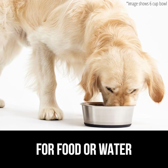 GORILLA GRIP Dog Bowls, Holds 2 Cups Each (16 fl oz), Heavy Duty Stainless Steel Food and Water Bowl for Feeding Dogs and Cats, Dishwasher Safe, Rust Resistant, BPA Free Rubber Base, Set of 2 Black