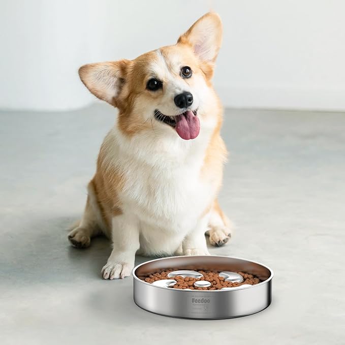 Slow Feeder Dog Bowl-2Cups for Medium Breeds, Double Wall Food-Grade Stainless Steel, Heavy Duty with Non-Slip Rubber Base, Puzzle Maze Bowl to Slow Down Eating