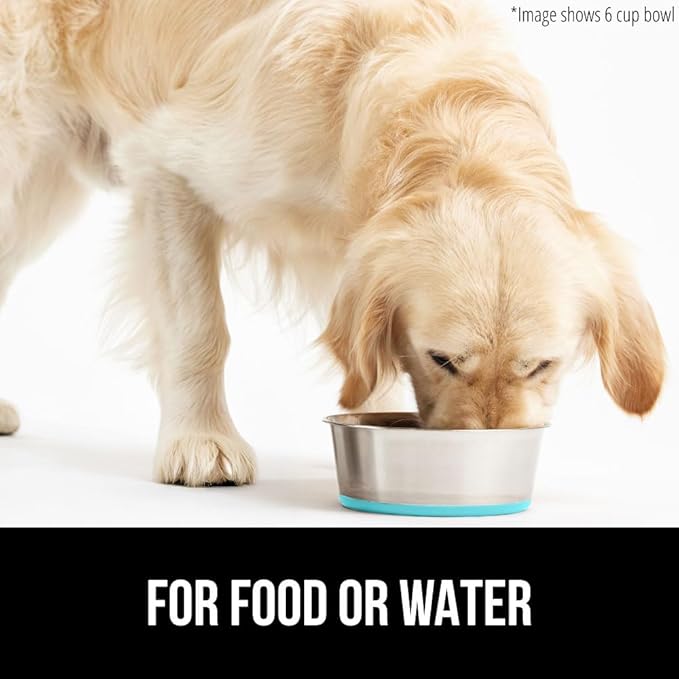 GORILLA GRIP Dog Bowl, Holds 6 Cups (48 fl oz), Heavy Duty Metal Food and Water Bowl for Feeding Dogs and Cats, Dishwasher Safe, Rust Resistant Stainless Steel, BPA Free Rubber Base, Turquoise