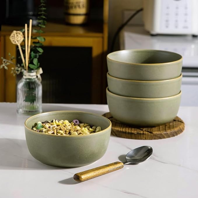 AmorArc Stoneware Dinner Plates Set of 6, 10.5 Inch Reactive Matte Glaze Ceramic Plates Set, Modern Dinnerware Dish set for Kitchen, Microwave, Dishwasher Safe