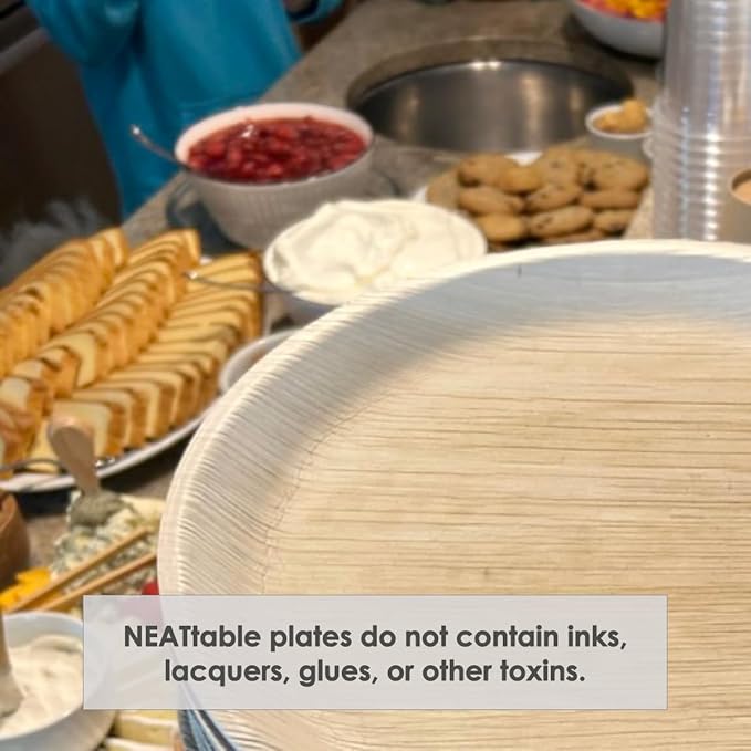 NEATtable Palm Leaf Plates | Disposable & Compostable | Eco Friendly & 100% Natural | Great for Outdoor Events, Wedding, Party, Barbecues | 10-inch Round Plate, Pack of 25