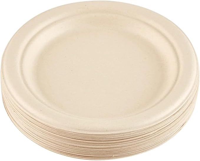9 Inches Disposable Plate, Biodegradable Paper Plates Food Container for Barbecue, Party, Pack of 100