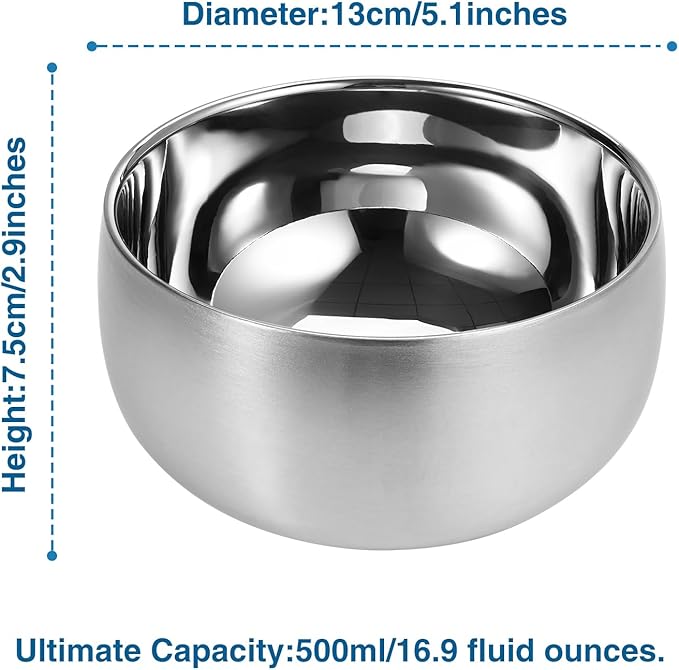 16.9 Fl Oz Ice Cream Bowl,Stainless Steel 316# Insulated Double Wall Vacuum Soup Bowl, Set of 2