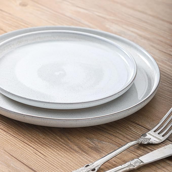 Ceramic Dinner Plates Set of 6,Stoneware 10 Inch,Microwave,Dishwasher and Oven Safe,Porcelain Dessert Plates for Pasta,Salad and Steak,Christmas Gift,Dish for Kitchen,Scratch Resistant,White