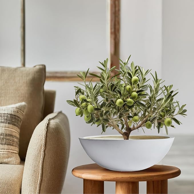 6.9" H x 19.7" D Round Bowl Fiberstone Planter for Succulent and Lotus with Drainage Hole, Smooth Finishes, Weather Resistant, Included 2 Extra Coco Mats (White, 17.9" Pot Opening)