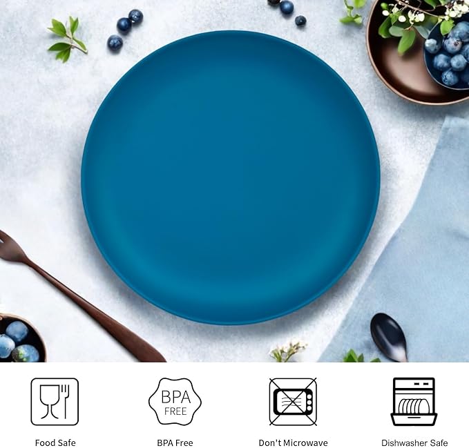 TP 10" Plate Set, 6-Piece Melamine Round Dinner Plates, Unbreakable Weighty Serving Dishes for Home, Outdoor Party, Restaurants, Coastal Blue
