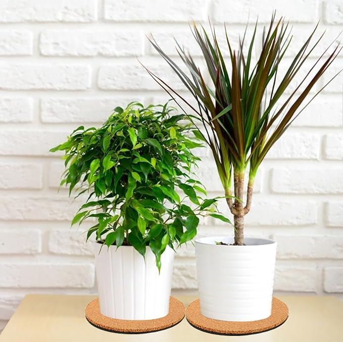 6 Pieces Cork Plant Coasters, 4 Inch Cork Plant Mats, Cork Coaster for Planters, Plant Coasters for House Plants Indoors (Nude & Black)