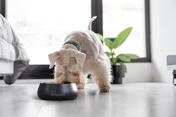 Sipworks Stainless Steel Dog Bowl – 32oz Weighted Metal Food and Water Bowls for Dogs and Cats with Non-Slip Base - Pet Bowls for All Breeds Sizes for Travel & Outdoor Play | Flamingo