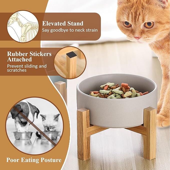 Raised Ceramic Cat Bowl - Cat Food Bowl with Bamboo Stand - Elevated Dog Food Dish for Puppies - Comfort Eating - 13.5 oz - 400 ml - Green