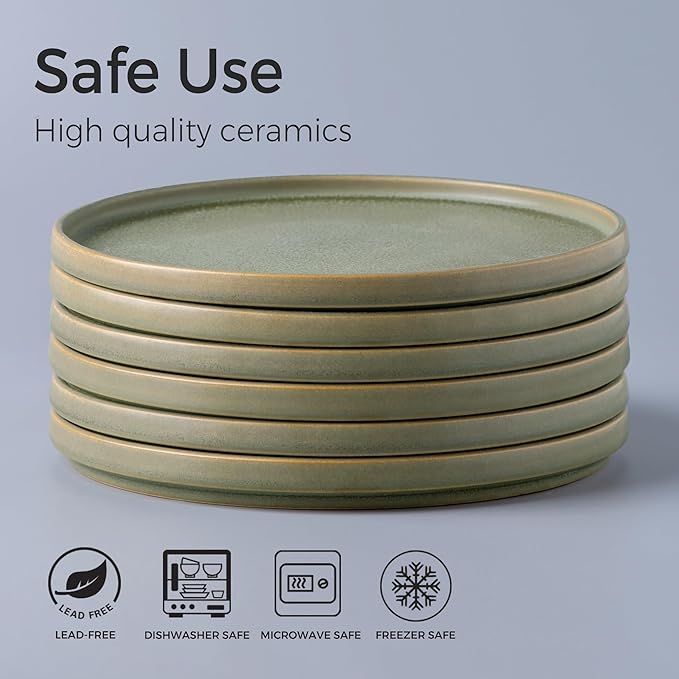 AmorArc Stoneware Dinner Plates Set of 4, 10.5 Inch Reactive Matte Glaze Ceramic Plates Set, Modern Dinnerware Dish set for Kitchen, Microwave, Dishwasher Safe