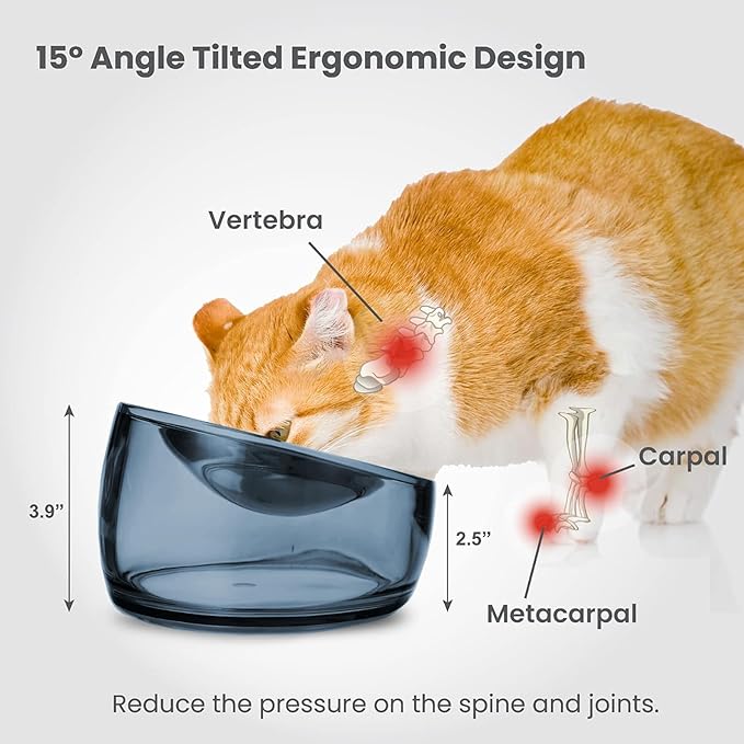 Felli Pet Oblik Whisker Fatigue Cat Food Bowl Raised Stainless Steel Shallow Dish, Pet Design Anti Vomit Tilted Metal Plate Feeder Elevated Acrylic Base (Shadow, 0.5 Cups Shallow Dish)