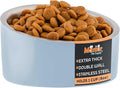 Master Pet Supply Stainless Steel Slanted Dog Cat Food Bowl - 8 oz Heavy Duty - Glacier Blue, Double Wall Insulated, Non-Slip Elevated Bowl for French Bulldogs Pugs Cats, Anti Rust Dishwasher Safe