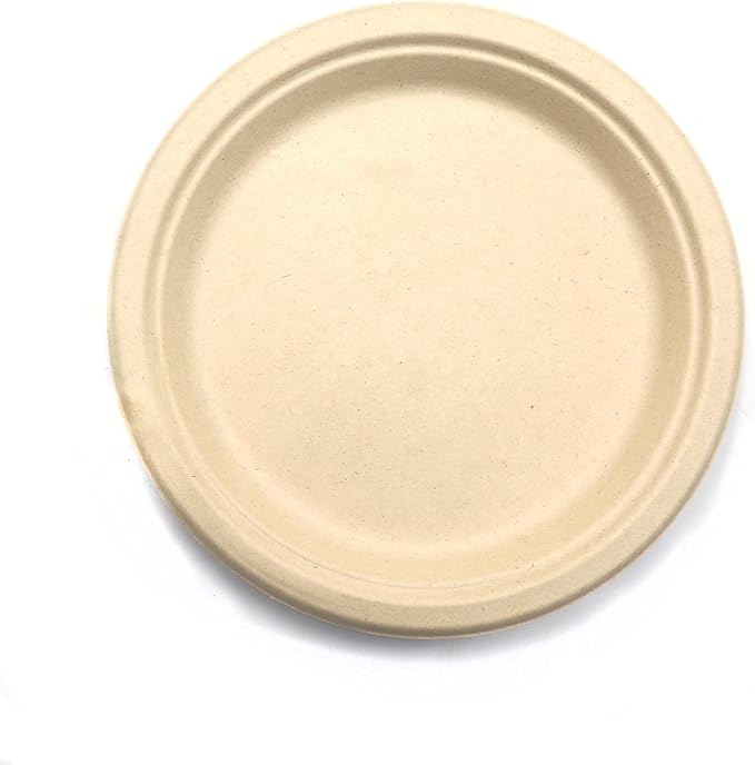 9 Inches Disposable Plate, Biodegradable Paper Plates Food Container for Barbecue, Party, Pack of 100