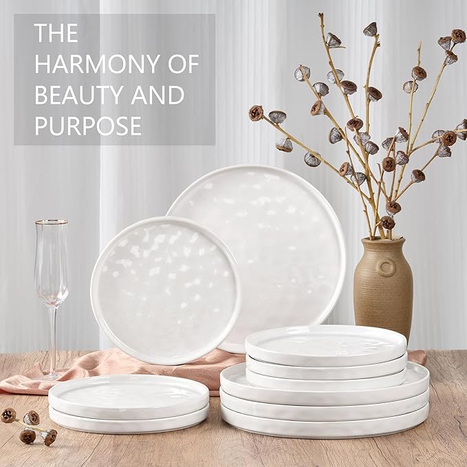 LIANYU Dinner Plates Set of 6, 10.2 Inch Large Ceramic Dessert Plate for Kitchen, Porcelain Serving Dishes for Salad Appetizer Cake Bread, Scratch Resistant, Microwave & Dishwasher Safe, Polar White