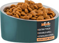 Master Pet Supply Stainless Steel Slanted Dog Cat Food Bowl - 8 oz Heavy Duty - Emerald Sea, Double Wall Insulated, Non-Slip Elevated Bowl for French Bulldogs Pugs Cats, Anti Rust Dishwasher Safe