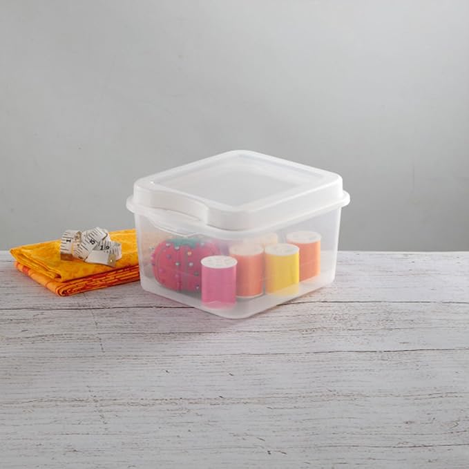Sterilite 18038612 Small Flip Top Storage Box (24)