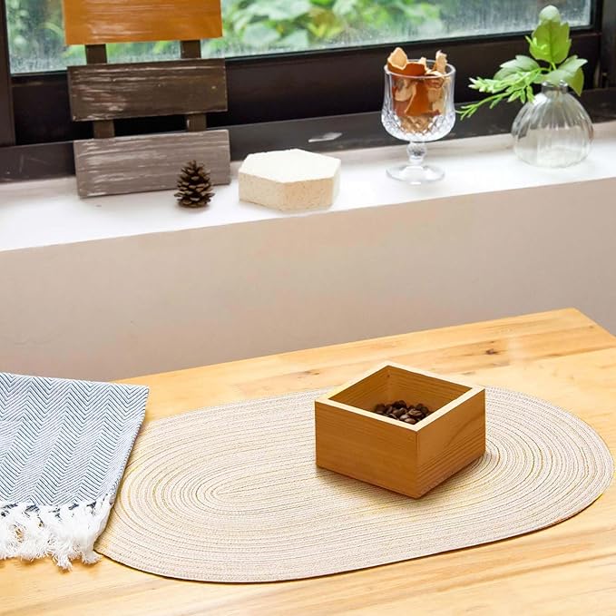 Noctiflorous Oval Braided Placemats Set of 6 Woven 12x18 Inch Non Slip Washable Heat Resistant Place Mats Round Tablemats for Dining Kitchen Party Daily Table Decor Dinner Mats (Beige, 6)