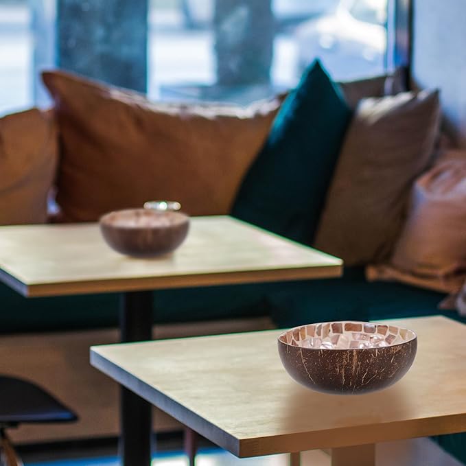 Coconut Shell Bowl Natural Handmade Key Storage Bowl Candy Dish Decorative Home Storage Plate for Living Room Tabletop Organizer