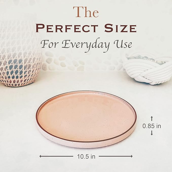 MORA Ceramic Flat Dinner Plates Set of 6, 10.5 in High Edge Dish Set - Microwave, Oven, and Dishwasher Safe, Scratch Resistant, Modern Dinnerware- Kitchen Porcelain Serving Dishes - Chai