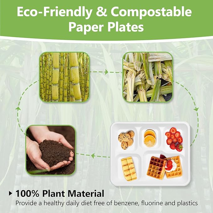 Compostable 5 Compartment Plates Disposable, 10.25 x 8.25 inch, [50-Pack] Heavy Duty Paper Plates with dividers, Sturdy School Lunch Trays, White Large Paper Dinner Plates for Buffet Party