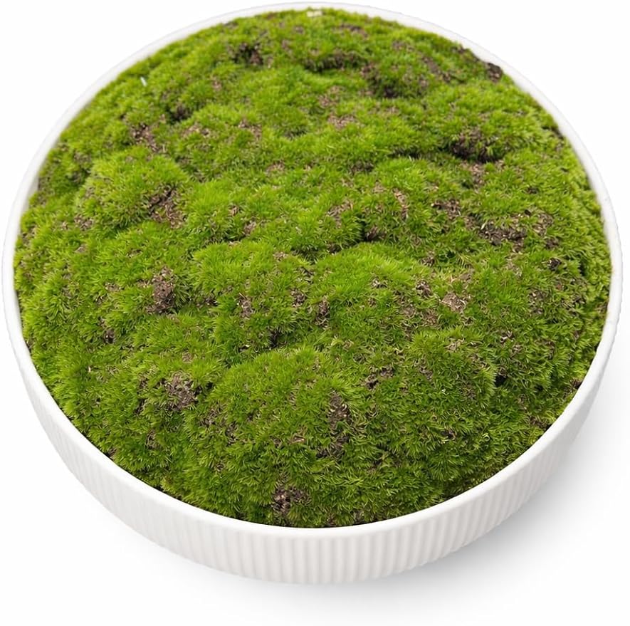 Moss Bowl |11.75" Diameter | Artificial | Fluted Pedestal Bowl | Home Décor