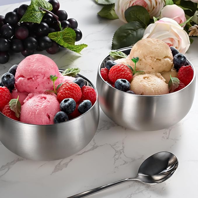 16.9 Fl Oz Ice Cream Bowl,Stainless Steel 316# Insulated Double Wall Vacuum Soup Bowl, Set of 2