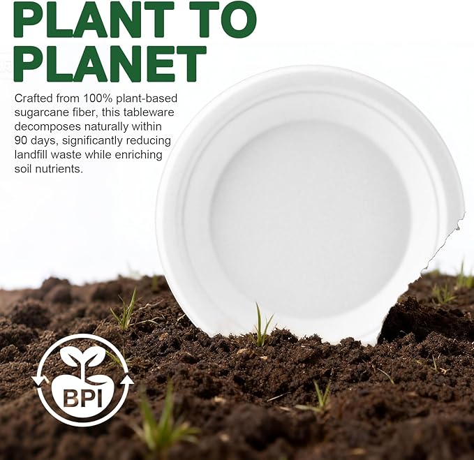 Compostable Paper Plates 6 Inch 300-Count Disposable Heavy Duty Party Small White Plates for Appetizer Dessert Cake Birthday Holiday Kids Party Supplies