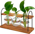 Plant Terrarium with Wooden Stand, The Ultimate Gift for Plant Lovers, Propagation Station with Retro Glass Bulbs, Creating a Stunning Tabletop Display of Hydroponic Greenery in Any Home or Office