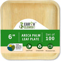 Compostable Palm Leaf Plates 6 Inch Square (100 Pack) | Disposable Biodegradable Plates Like Bamboo & Wooden | Microwave & Oven Safe | Eco-Friendly