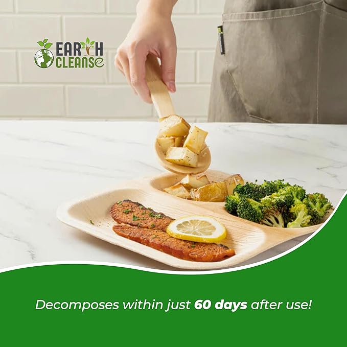 Areca Palm Leaf 11-Inch Square Plates (75 Count) – 100% Compostable, Biodegradable Like Bamboo Plates | Eco-Friendly Disposable Dinnerware | Microwave & Oven Safe