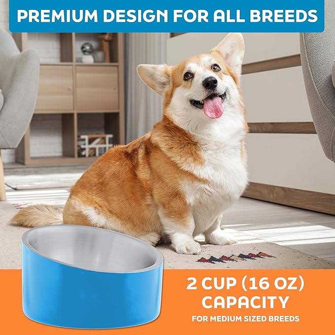 Master Pet Supply Stainless Steel Slanted Dog Cat Food Bowl - 16 oz Heavy Duty - True Blue, Double Wall Insulated, Non-Slip Elevated Bowl for French Bulldogs Pugs Cats, Anti Rust Dishwasher Safe