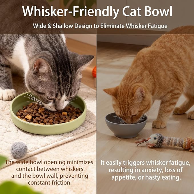 Silicone Cat Bowl Shallow Non-Slip Cat Dishes Relief Whisker Fatigue Small Pet Dog Bowls for Dry & Wet Food, Set of 2