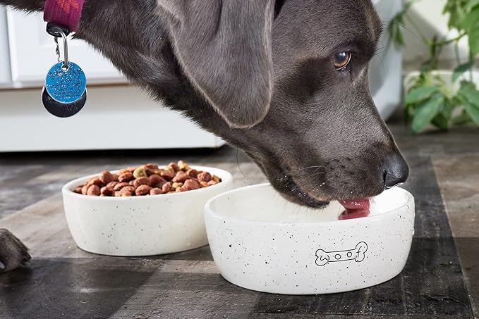 Pearhead Ceramic Pet Bowl 3-Cup Capacity Durable Speckled Dish with Woof Graphic Food Water Feeder for Small Medium Dogs