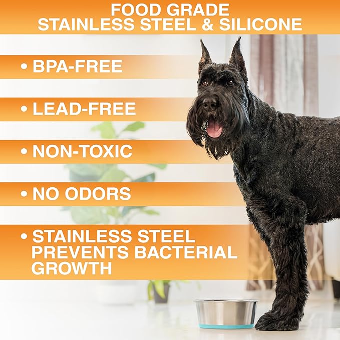 Neater Pet Brands Stainless Steel Dog Bowls with Non-Slip Rubber Bottom – Set of 2, 6 Cup (48 oz), Teal - Heavy Duty Metal Dog Bowl, Dishwasher Safe, Food or Water Bowl, Ideal for Large Dogs