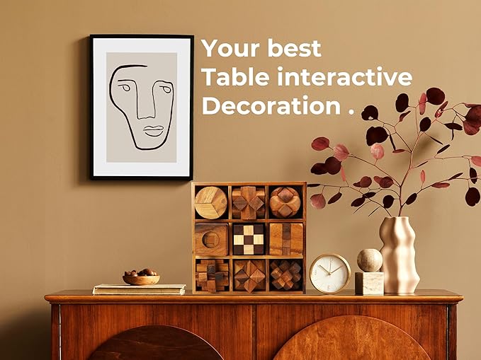 BSIRI 9 in 1 Wooden Brain Teaser Puzzles for Adults Teens Box Set Wood Hard Level 10 Impossible Mind Wood Brain Teaser Games 3D Hand Puzzle Sets for Decoration and Mini Toys